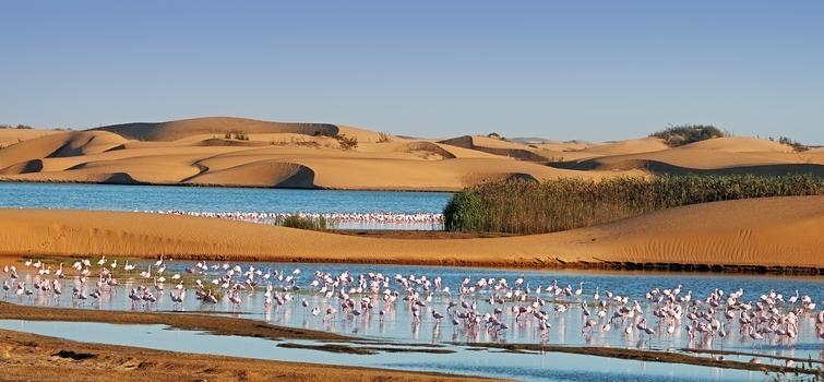 AZAMARA PURSUIT WITH CANARY ISLANDS & AFRICA thmb img