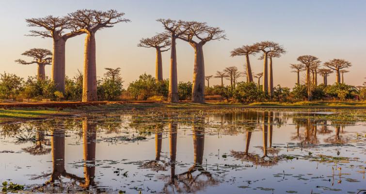 AZAMARA PURSUIT WITH AFRICA 16 DAYS thmb img